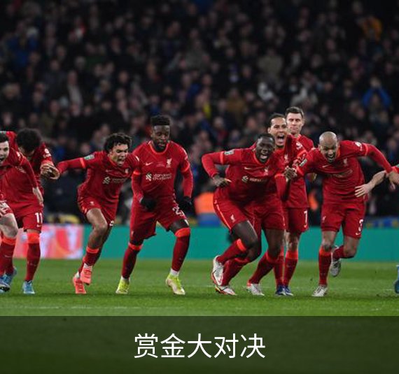 企业简介